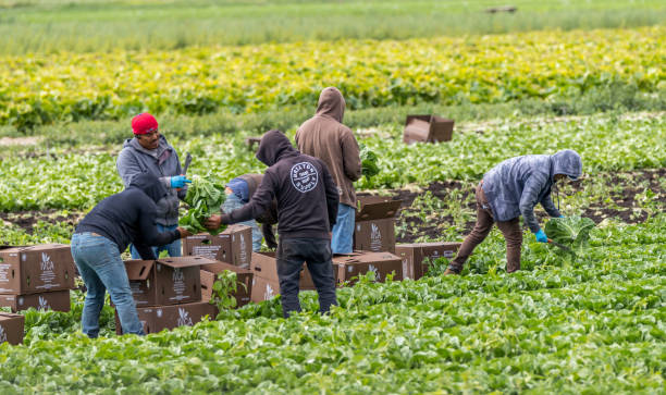 OQTF saisonniers agricoles France