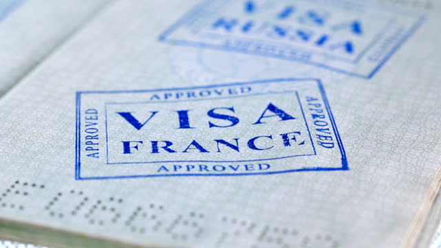 Types Visa France