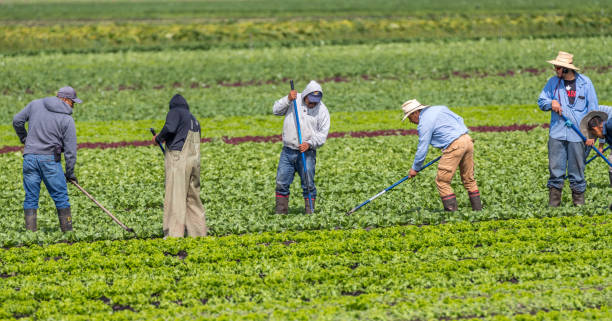 Régularisation travailleurs sans papiers